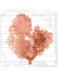 Holzbild Orange Koralle, 40x40 cm Echtholz