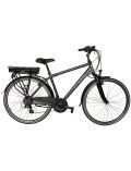 E-Bike Trekking Green 4.5, 28 Zoll, 7 Gang, Heckmotor, 360 Wh
