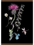 Leinwand Pflanzen und Libellen, Leinwand Rollbild 50x70 cm