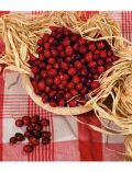 Obst Cranberry