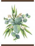 Leinwand Eukalyptus Pflanze, Leinwand Rollbild 50x70 cm