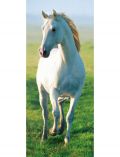 Trtapeten White Horse, 2-teilig, 86x200cm