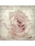 Holzbild Zarte Rose, 40x40 cm Echtholz