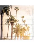 Holzbild Sonnige Palmen, 40x40 cm Echtholz