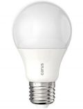 Carus LED Leuchtmittel E27, 2er Set, Tageslicht dimmbar